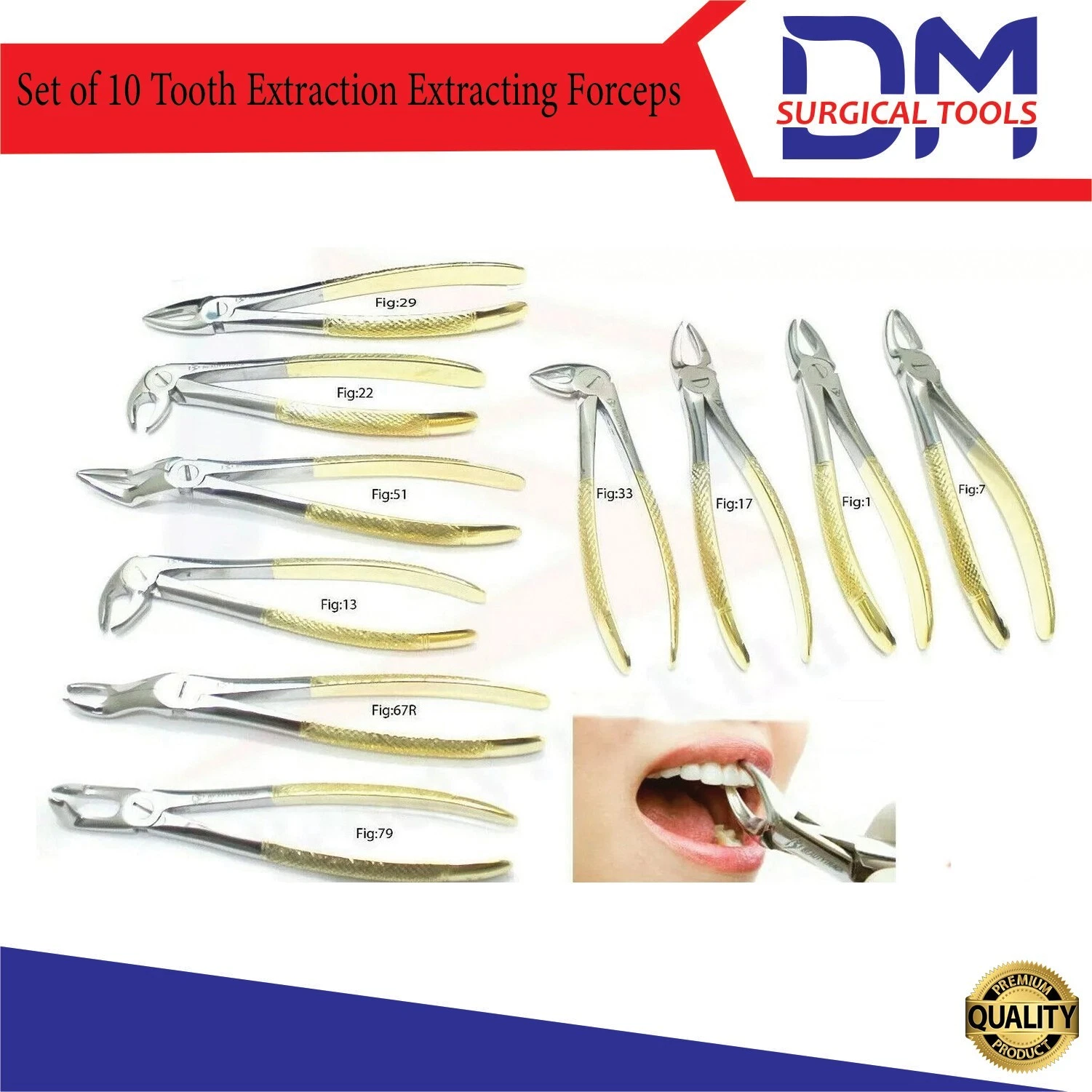 Dental Tooth Extraction Forceps Dental Tooth Extraction Forceps