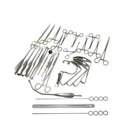 Tonsillectomy and Adenoidectomy