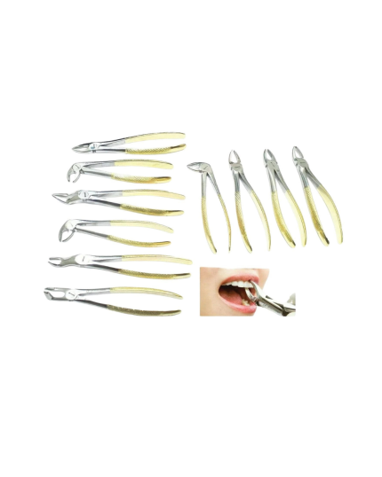 Dental Tooth Extraction Forceps