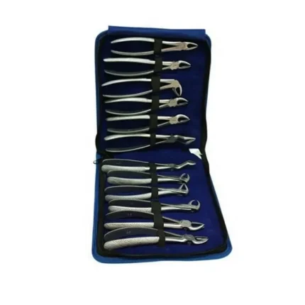 12Pcs Dental Extracting Forceps