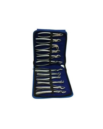 12Pcs Dental Extracting Forceps